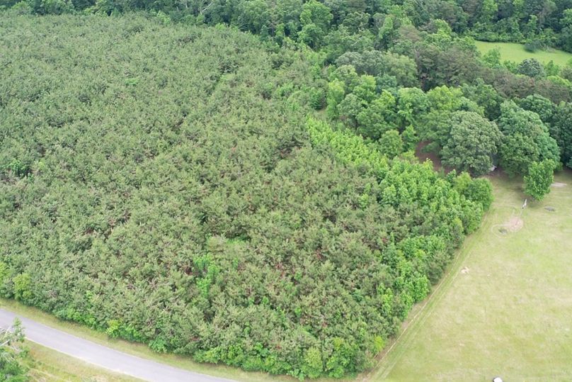 Screen cc4bd4c06e6a61e2 1621360462026