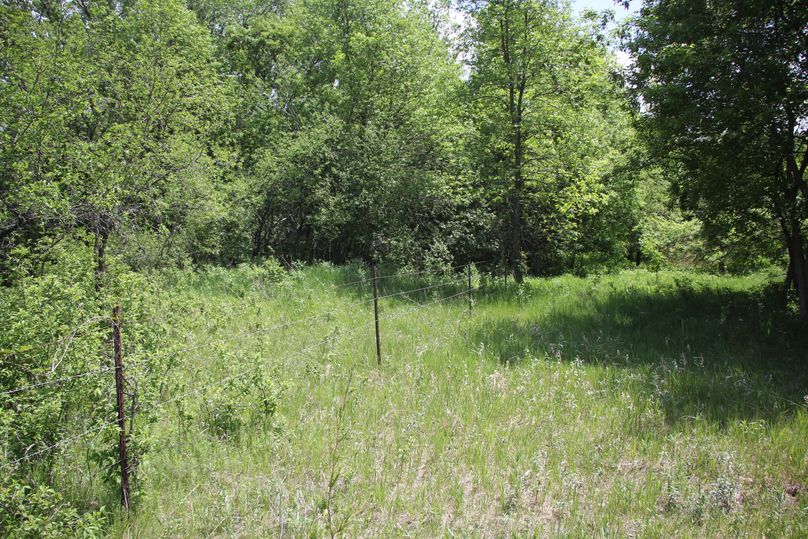 Pic 21