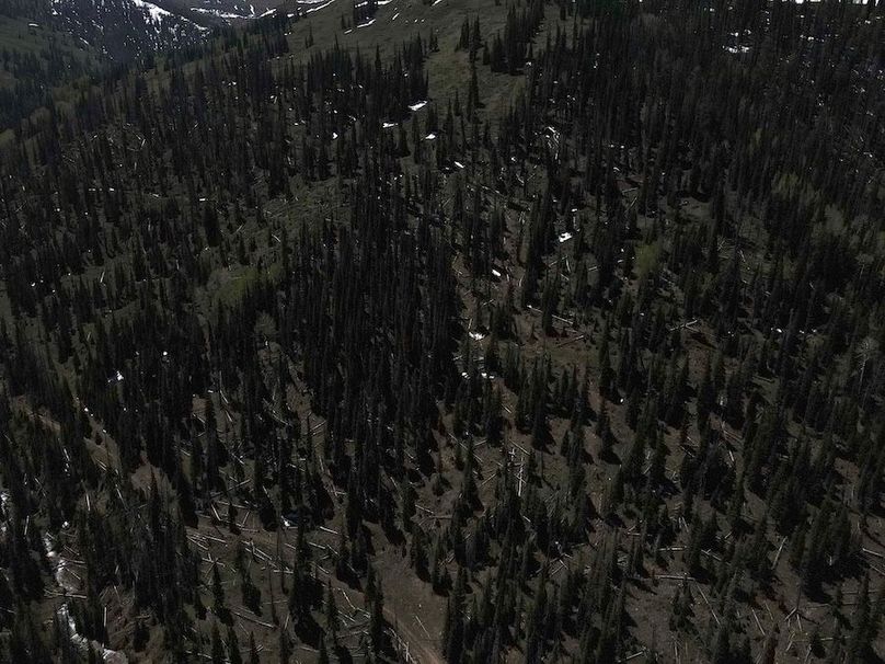 Copy of Photo_1080295621_DJI_197_jpg_4704771_0_202261412552_photo_original.jpg