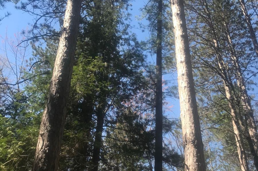 Img 0107 copy