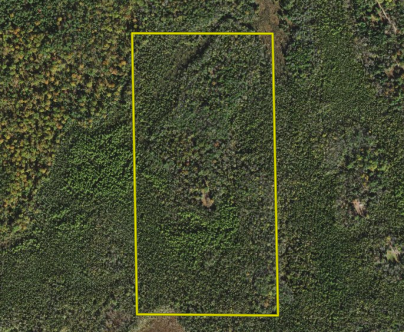 Screen shot 2021-05-18 at 8.12.51 am