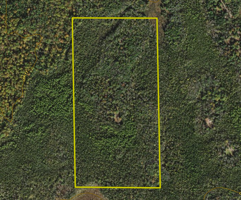 Screen shot 2021-05-18 at 8.12.37 am