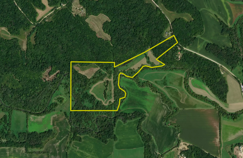 Screen shot 2021-05-26 at 1.26.34 pm