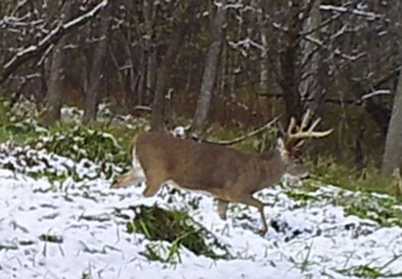 -451475159 20191111 222232 200280