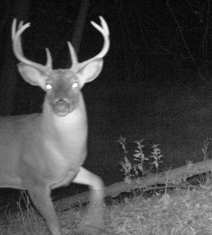 -723341762 20180314 224408 482857