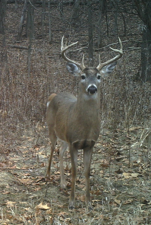 -850931459 20180314 223421 581603