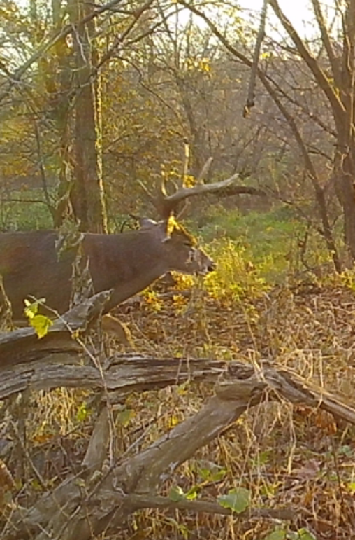 -893201012 20191111 214546 534941