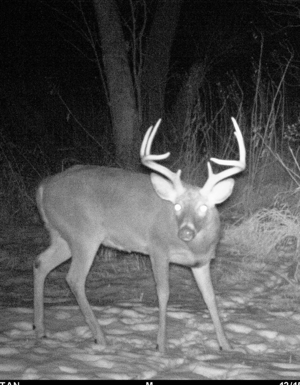 -1089102499 20180314 223836 560016