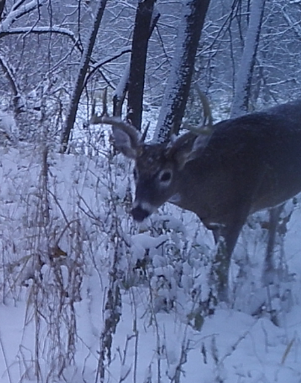 -1705099829 20191111 224617 514648