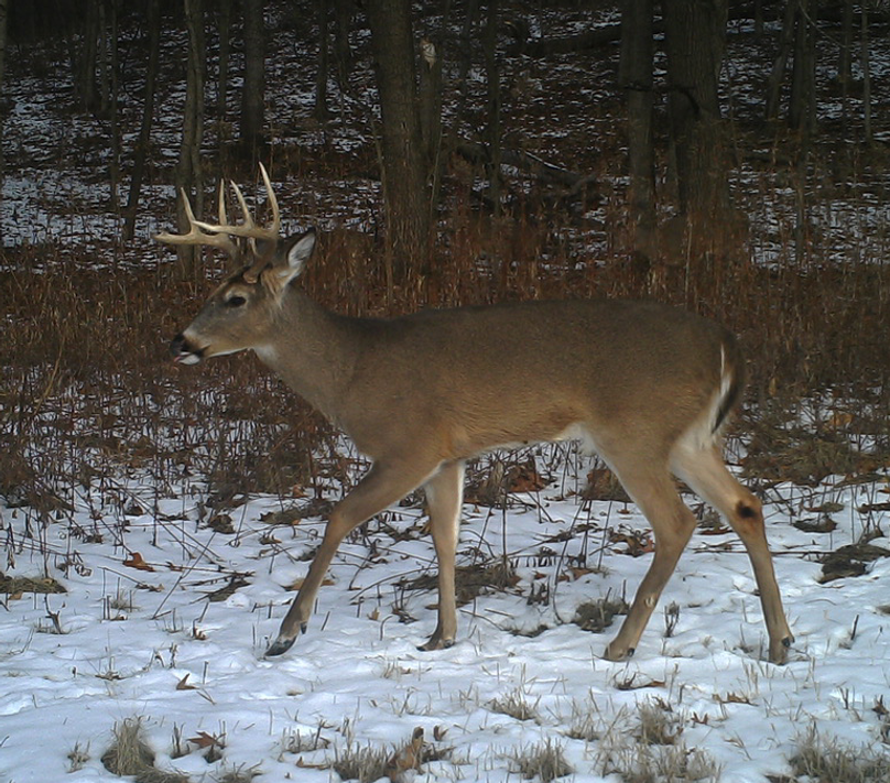 -252377051 20180314 223751 1026645