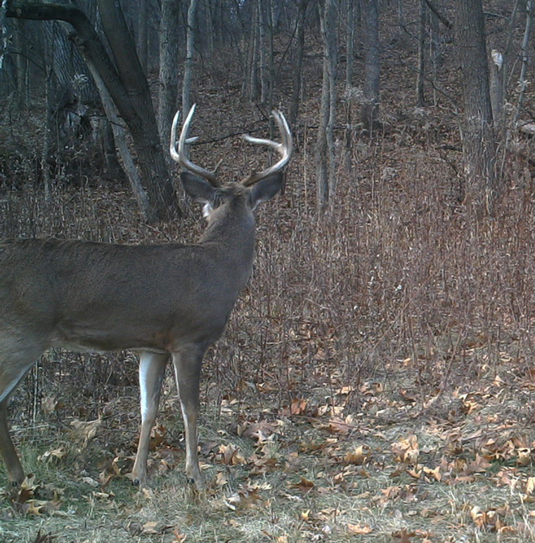 -325546430 20180314 223951 934671