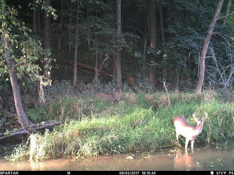 1507609332 pict0119 1853949