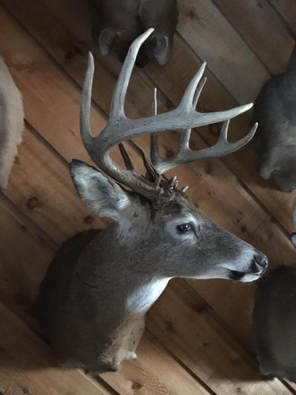 1869864491 img950414 131645