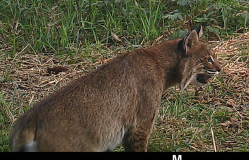 1927625012 20180314 224646 221005