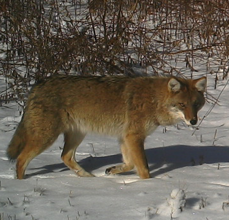 1101359241 20180314 223640 245315