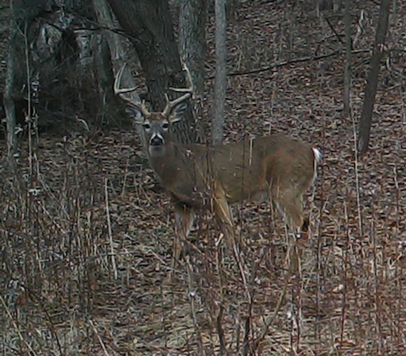 1102426779 20180314 222827 338511