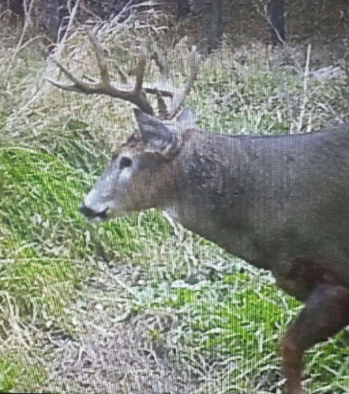 1277218577 20191116 120902-1 591773