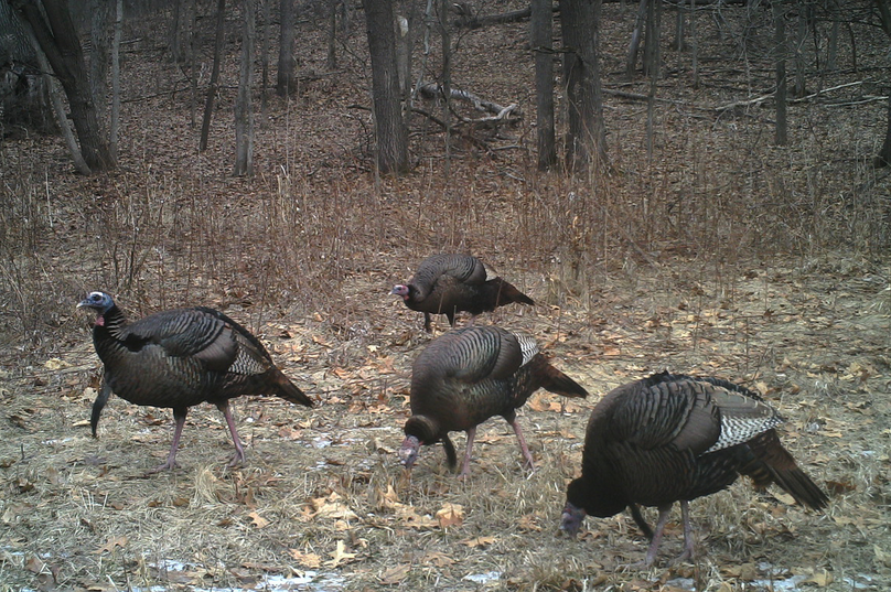 228009998 20180314 223253 2011467