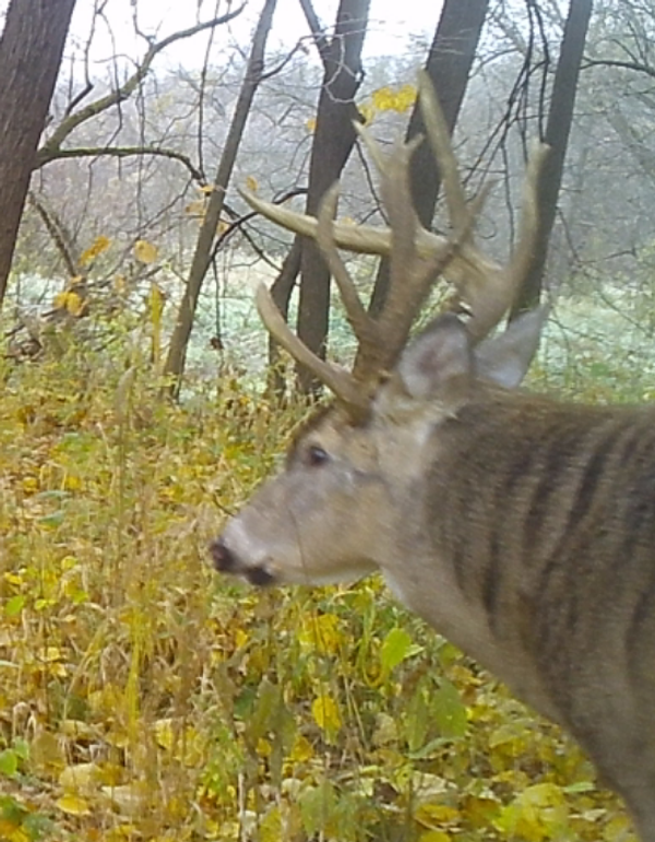 841461595 20191111 220320 632565