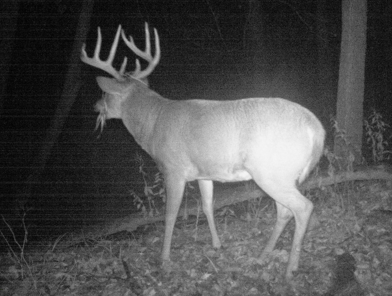 818335906 20180314 224222 685714