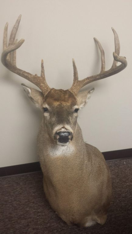 837083837 20181109 142118 513062