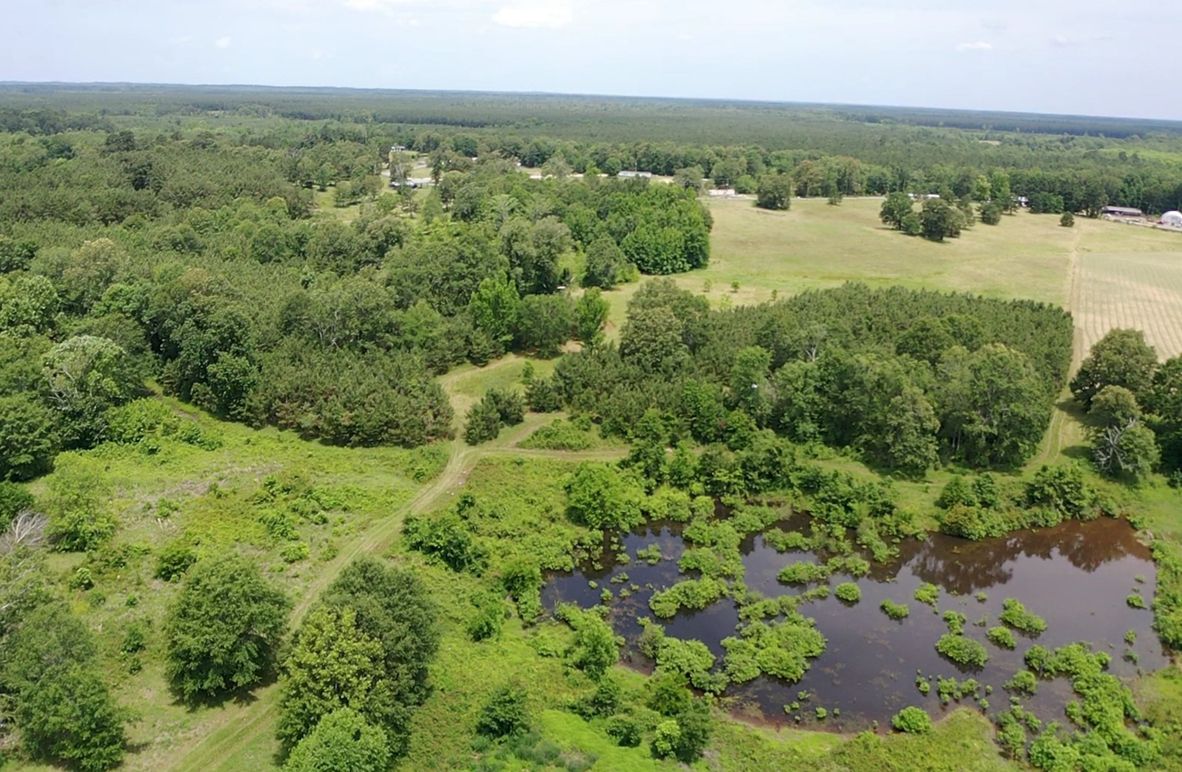 Screen c43148c6bf044b83 1621874952981