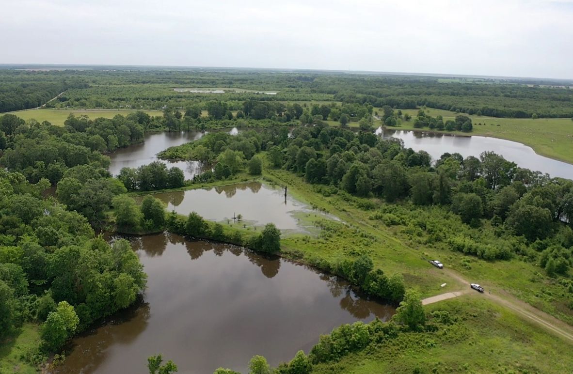 Screen cffbf27fab72025c 1621872440389