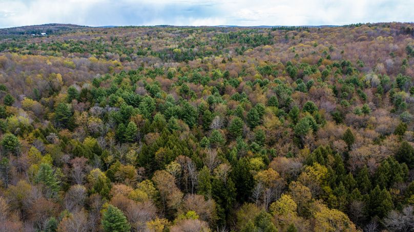 Tioga 175 holker drone 10