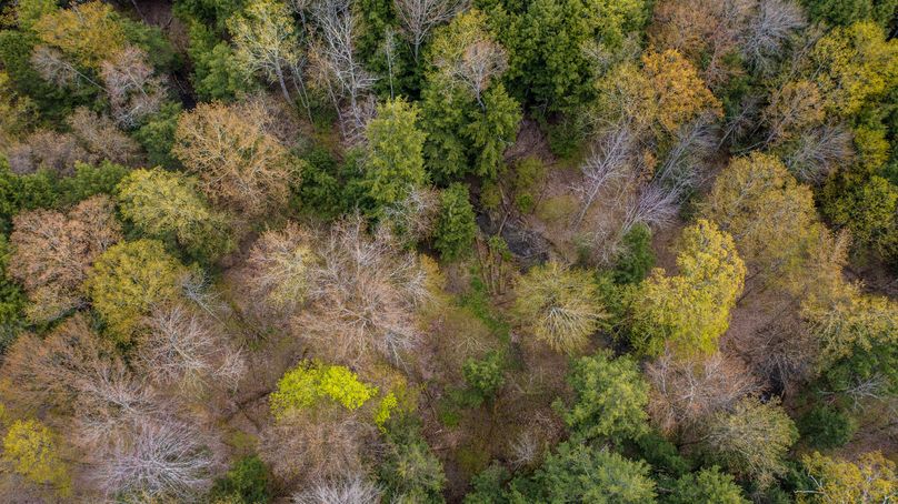 Tioga 175 holker drone 11