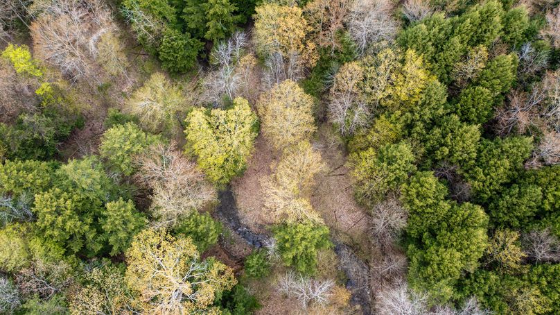 Tioga 175 holker drone 12