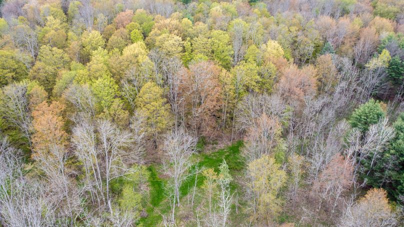 Tioga 175 holker drone 13