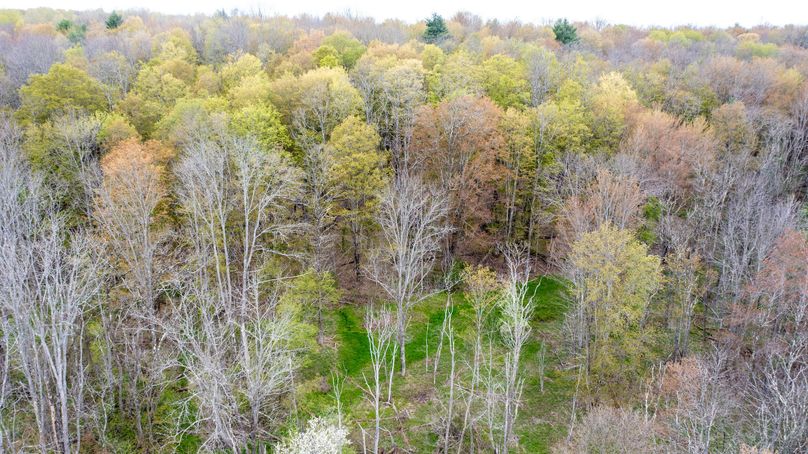 Tioga 175 holker drone 14