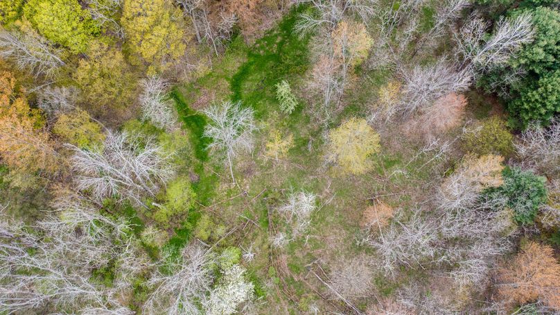 Tioga 175 holker drone 15