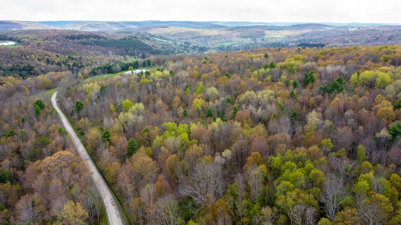 Tioga 175 holker drone 16