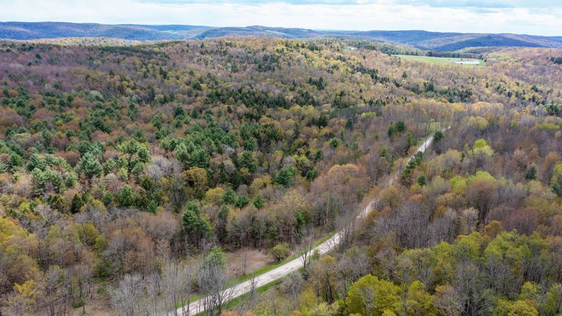 Tioga 175 holker drone 2