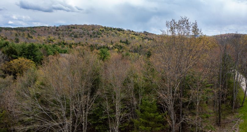 Tioga 175 holker drone 20