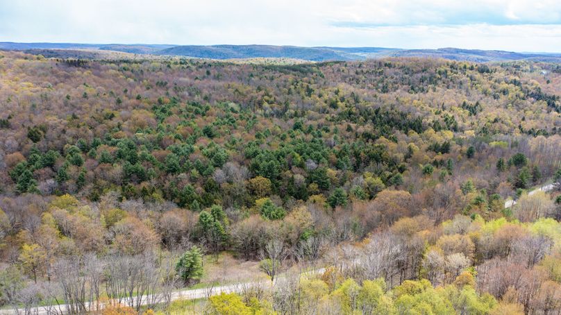 Tioga 175 holker drone 3