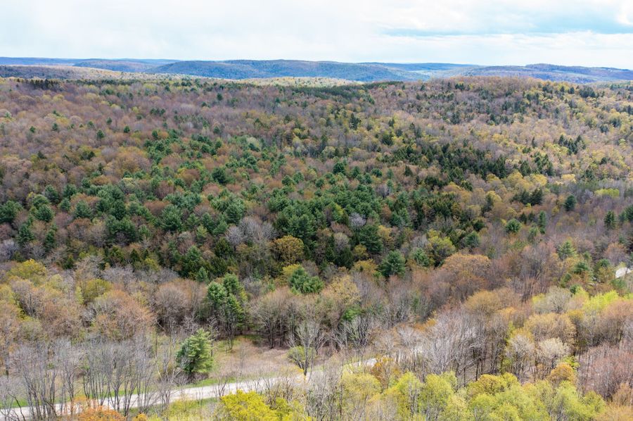 Tioga 175 holker drone 3