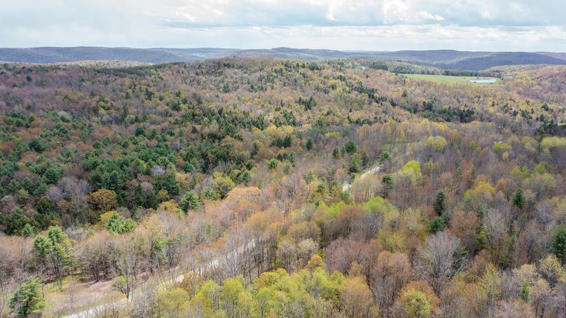 Tioga 175 holker drone 4