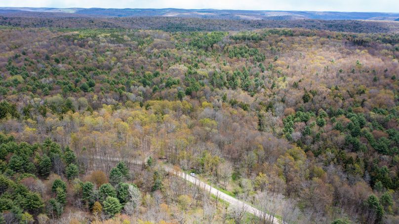 Tioga 175 holker drone 6