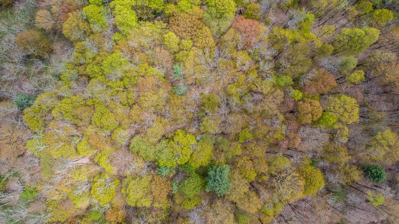 Tioga 175 holker drone 7