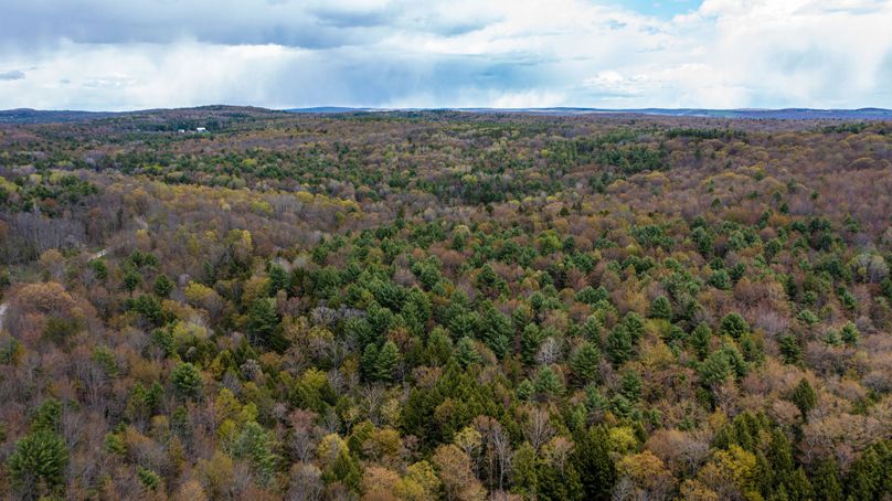 Tioga 175 holker drone 8