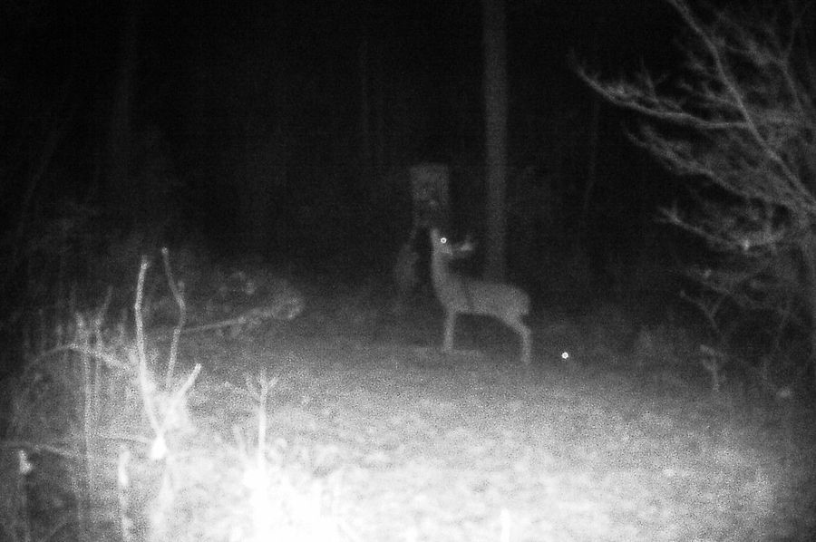 Image006