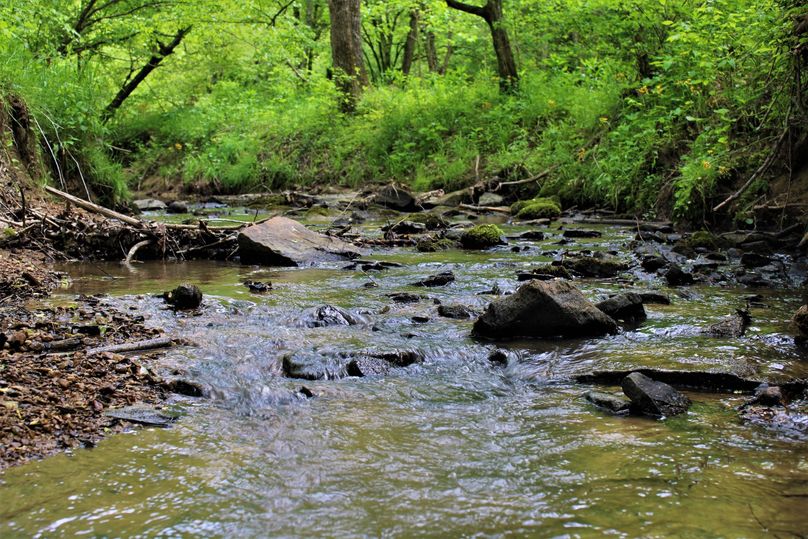 001 beautiful waters of roaring paunch creek