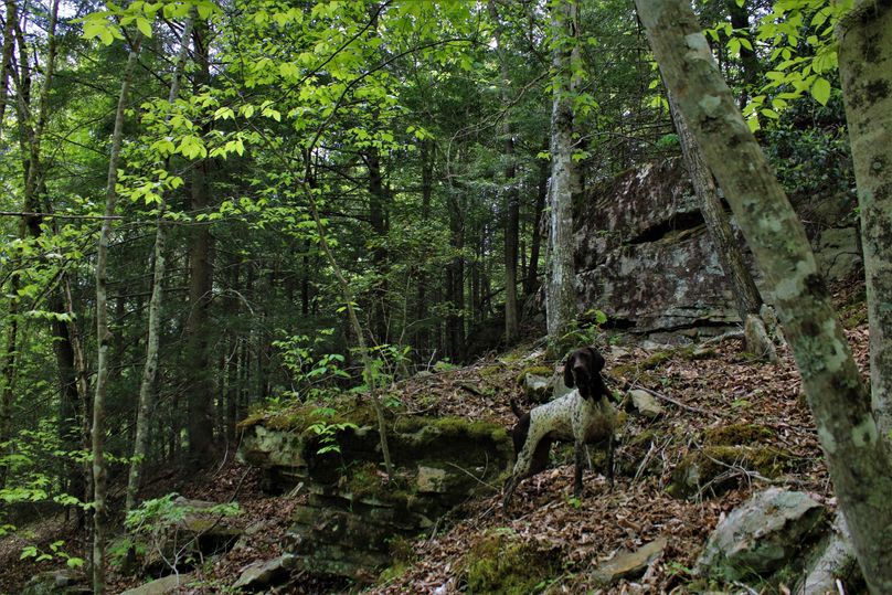 005 field assistant ely showing off some nice rock features