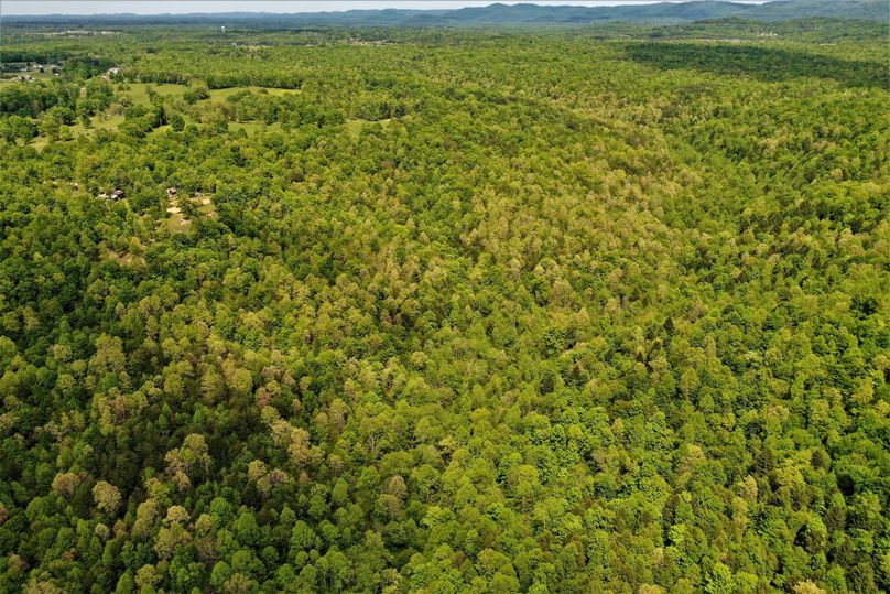008 aerial view looking north over the property