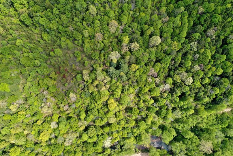 014 awesome birds eye view looking down on the property