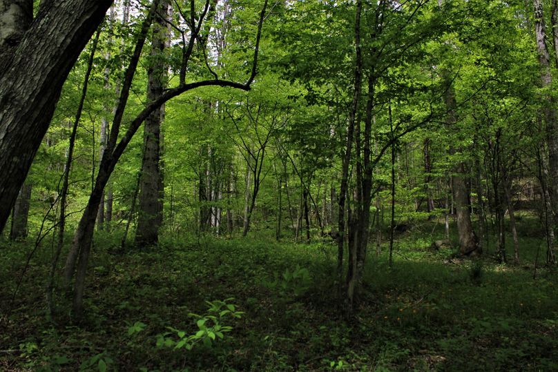 019 more really nice flat usable areas