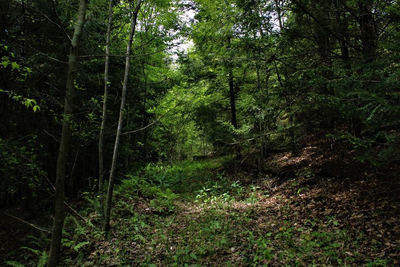 022 nice internal road system