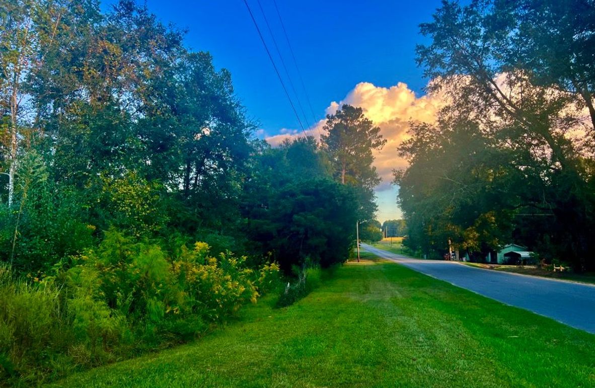 1FF870DB-2922-4E18-B97D-F417D5C0CC0D_1_201_a